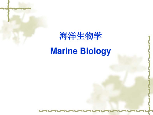 海洋生物学讲解