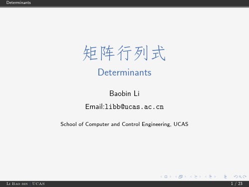 中科院学习课件 矩阵分析与应用 9 Determinants