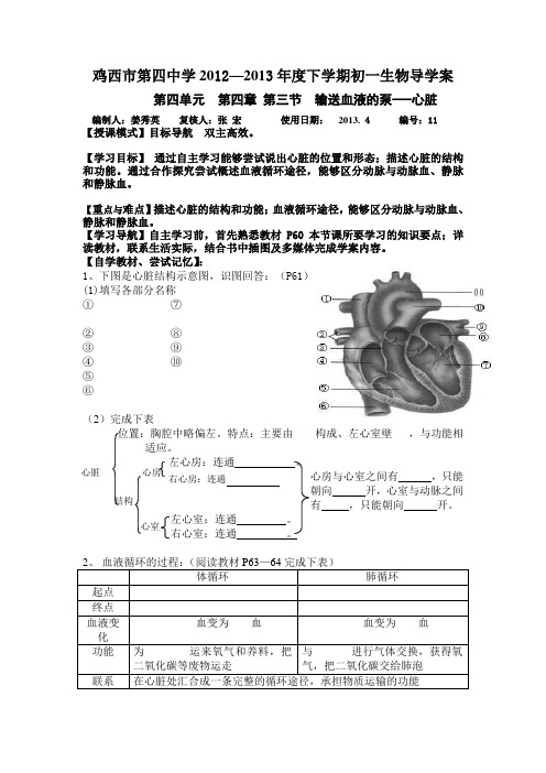 输送血液的泵--心脏