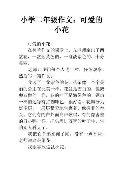 小学二年级作文:可爱的小花