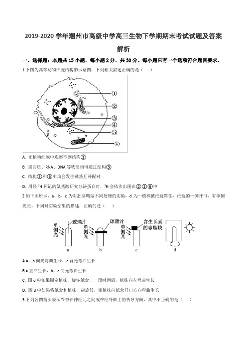 2019-2020学年潮州市高级中学高三生物下学期期末考试试题及答案解析