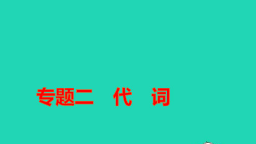 中考英语第二篇语法专题突破专题二代词讲本课件ppt