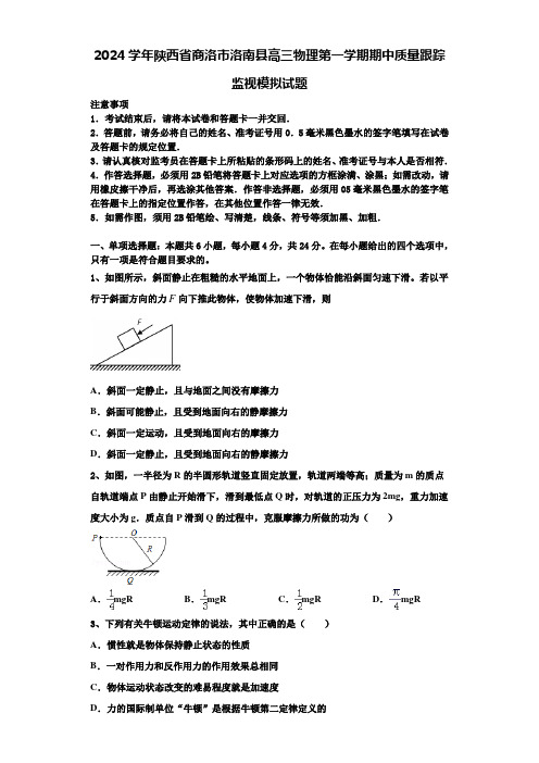 2024学年陕西省商洛市洛南县高三物理第一学期期中质量跟踪监视模拟试题含解析