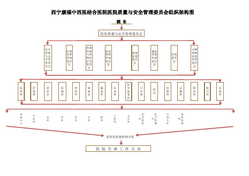 医院质量与安全管理组织架构图