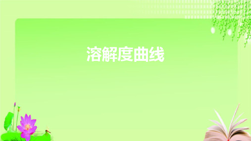 最新人教版化学中考专项复习溶解度曲线(共26张PPT)教育课件