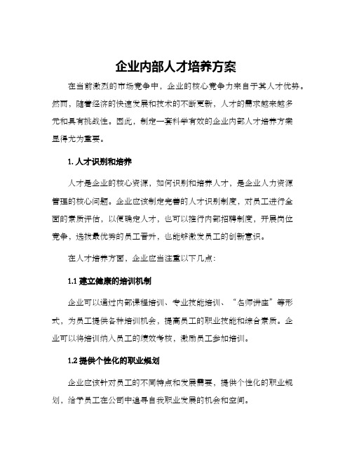 企业内部人才培养方案