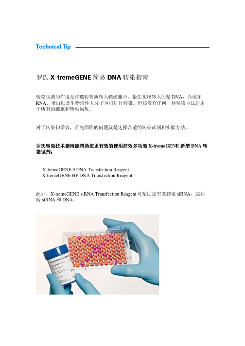 罗氏X-tremeGENE 简易 DNA 转染指南