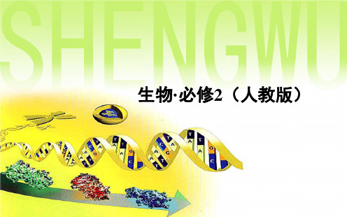 【金版学案】2014-2015学年高中生物人教版必修二课件:第2章 第1节 二、受精作用