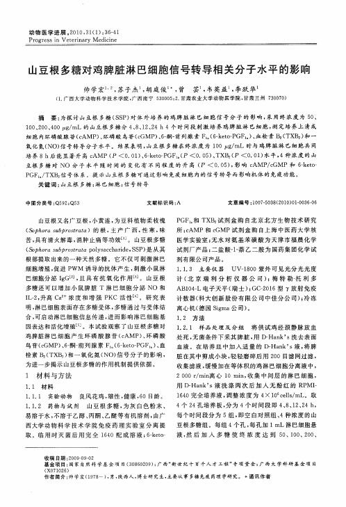 山豆根多糖对鸡脾脏淋巴细胞信号转导相关分子水平的影响