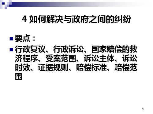 4如何解决与政府之间的纠纷PPT课件