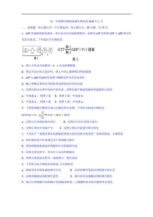 江苏省南通市海安县实验中学2016-2017学年高一上学期