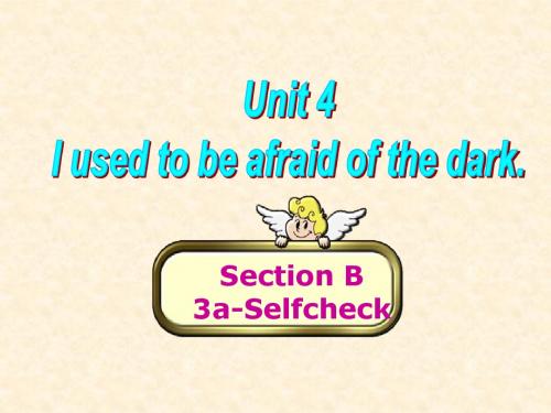 九年级英语unit4,Section B 3a-selfcheck课件