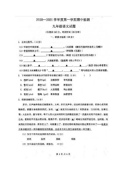 江苏省徐州市市区2020-2021学年九年级上学期期中检测语文【试卷+答案】