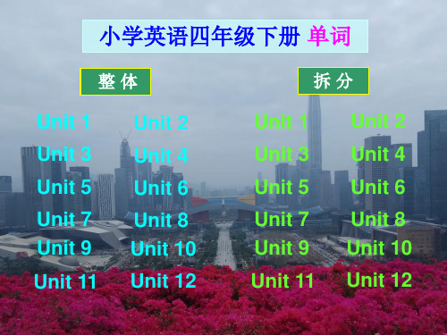 沪教牛津版小学英语四年级下册单词