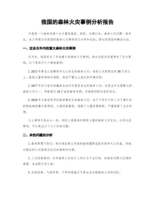 我国的森林火灾事例分析报告