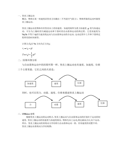 竖直上抛运动的系统动力学分析