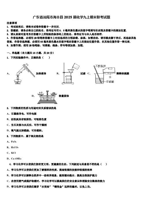 广东省汕尾市海丰县2025届化学九上期末联考试题含解析