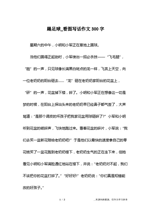 踢足球_看图写话作文300字