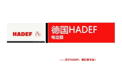 德国HADEF