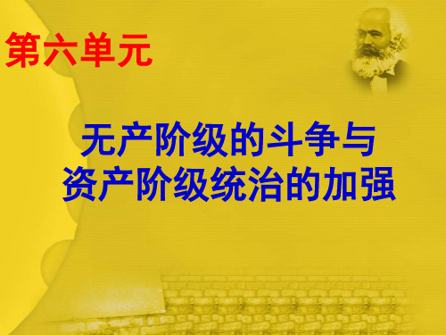 无产阶级的斗争与资产阶级统治的加强单元复习课件