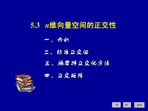 5.3n维向量空间的正交性2009