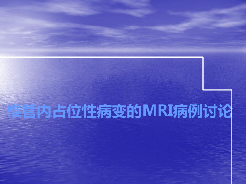 椎管内占位性病变的MRI病例讨论ppt课件