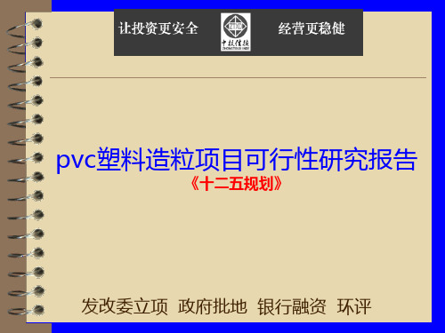 pvc塑料造粒项目可行性研究报告(精)