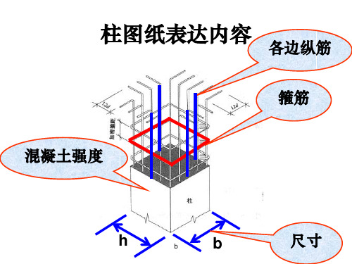 柱配筋图讲解31051