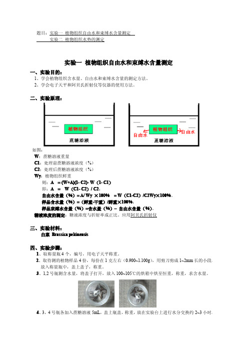 植物组织自由水和束缚水含量测定