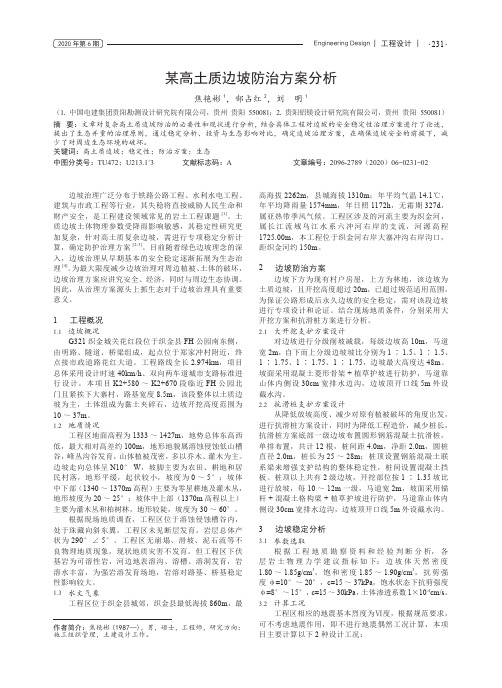 某高土质边坡防治方案分析