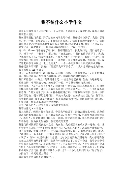 我不怕什么小学作文