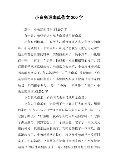 小白兔运南瓜作文200字