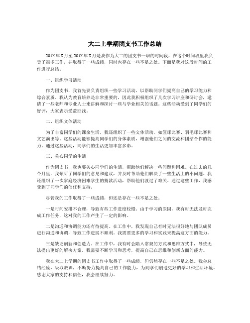 大二上学期团支书工作总结