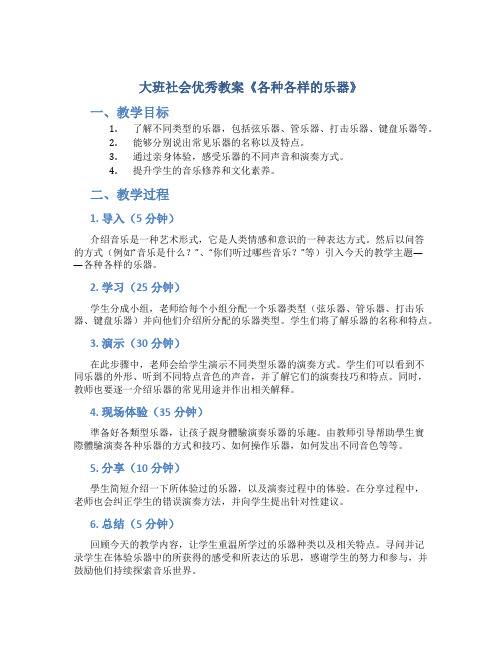 大班社会优秀教案《各种各样的乐器》