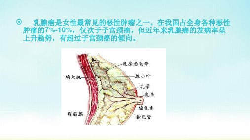 乳腺癌的病因和发病机制培训讲学