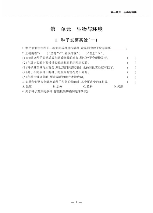 教科版科学五年级上册 全册同步作业 校本作业 天天练