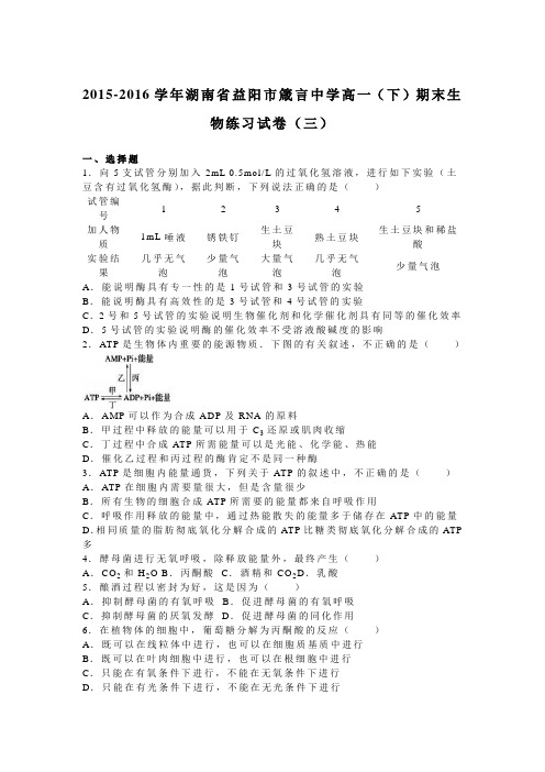 湖南省益阳市箴言中学2015-2016学年高一下学期期末生物练习试卷(三)Word版含解析