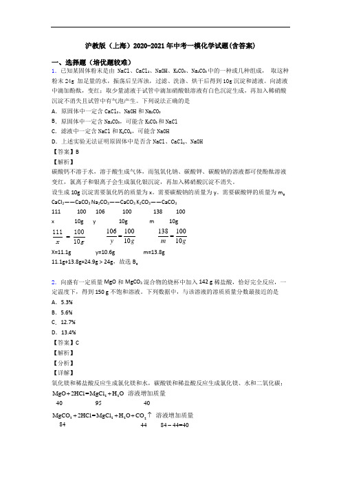 沪教版(上海)2020-2021年中考一模化学试题(含答案)