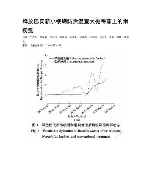 释放巴氏新小绥螨防治温室大棚番茄上的烟粉虱