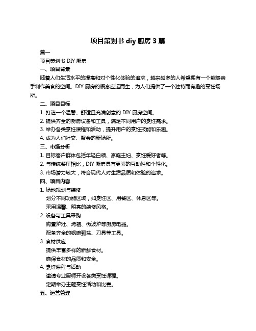 项目策划书diy厨房3篇