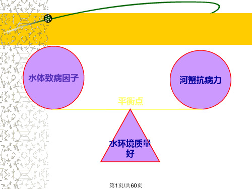 池塘养殖河蟹疾病防治基本原理及方法甪直PPT课件