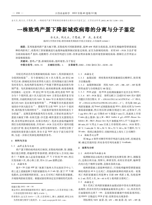 一株致鸡产蛋下降新城疫病毒的分离与分子鉴定