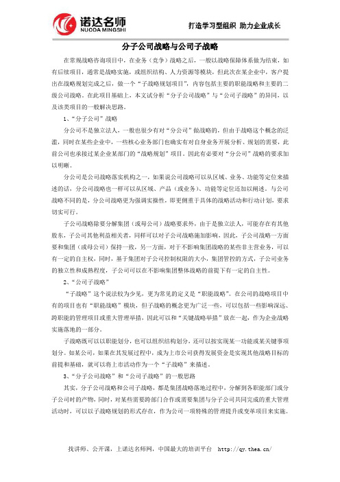 分子公司战略与公司子战略