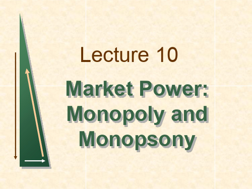 Tsinghua_2005MBA_Lecture_10(Market power)(ppt 121页)