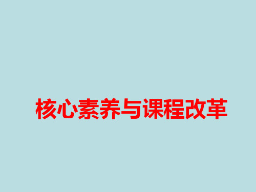 核心素养与课程改革