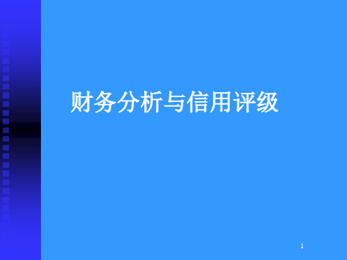 2021财务分析信用评级及模板(精华版)