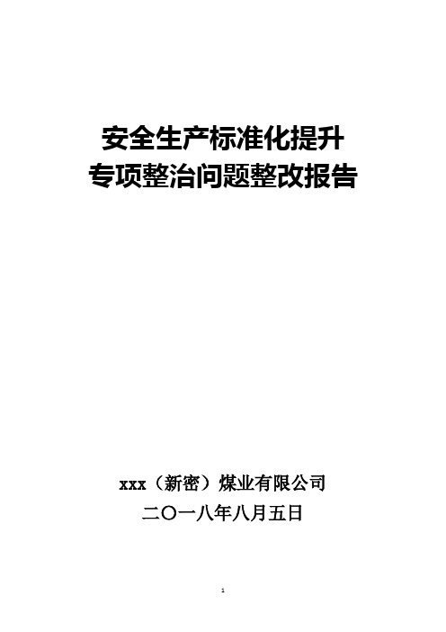 标准化提升专项整治问题整改工作报告