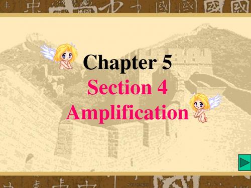 Chapter 5 (4) amplificatiom