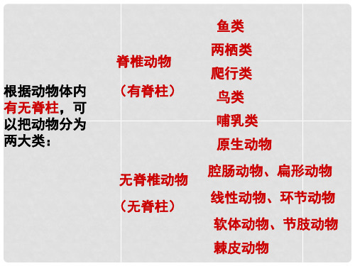 八年级生物上册 第五单元 第一章 第二节 线形动物和环节动物课件 (新版)新人教版