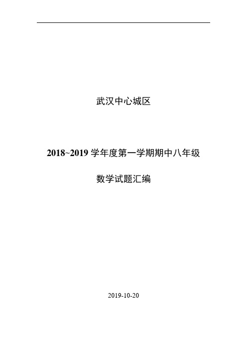 2018~2019学年度武汉各区八上期中汇编(1)(1)